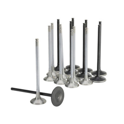 Skunk2 Honda K20C1 Alpha Series Intake & Exhaust Valve Set (Standard Compression)