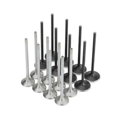 Skunk2 Honda K20C1 Alpha Series Intake & Exhaust Valve Set (Standard Compression)