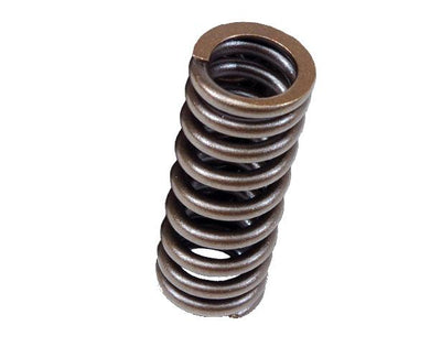 BLOX Racing Valve Springs for D-series SOHC VTEC D16Z-Y (1.6L SOHC VTEC)