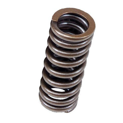 BLOX Racing Valve Springs for D-series SOHC VTEC D16Z-Y (1.6L SOHC VTEC)