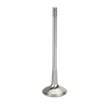 Supertech SB Chevy 1.600x.341x5.000in Chrome Undercut Exhaust Valve - Single (Drop Ship Only)