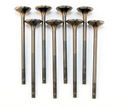 BLOX Racing High Compression Exhaust Valve Set for D-series SOHC VTEC (D16Z-Y)