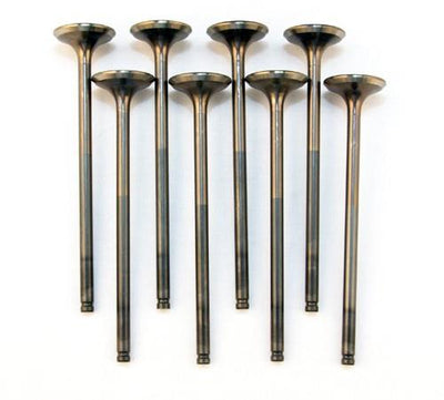 BLOX Racing High Compression Exhaust Valve Set for D-series SOHC VTEC (D16Z-Y)