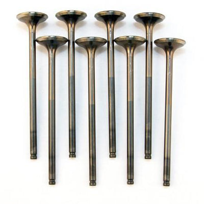 BLOX Racing High Compression Exhaust Valve Set for D-series SOHC VTEC (D16Z-Y)