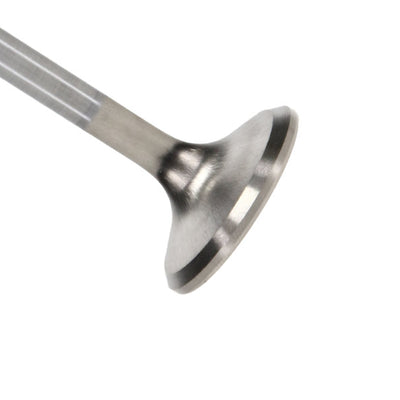 Manley 92-00 Acura Integra / 99-00 Honda Civic 16 Valve 28.0mm Race Flo F/F Exh Valves (Set of 8)