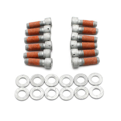 Wilwood DRILLED Rotor Bolt Kit 1/4-20x.75 LG
