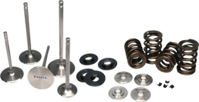 Ferrea 15-24 BMW S58 Single Spring Kit