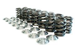 Manley Nissan Patrol TB48 Valve Spring and Retainer Kit (Use factory valve locks)