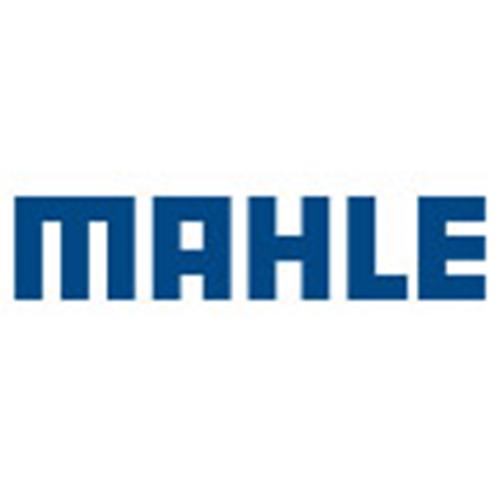 Mahle OE logo