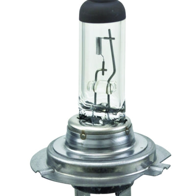 Hella Halogen H7 Bulb