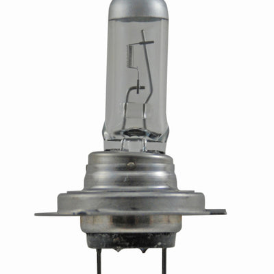Hella Bulb H7 12V 55W Px26D T4625 +50 (2)