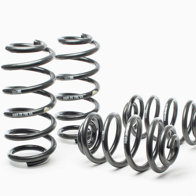 H&R 98-04 Audi A6 Avant (2WD) Sport Spring