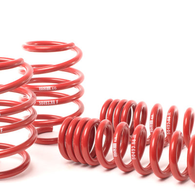 H&R 08-13 BMW M3 Coupe/M3 Sedan E92 Race Spring
