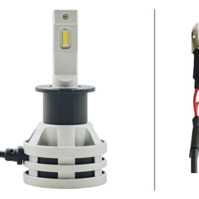 Hella Bulb H3 12/24V 19W Set of 2