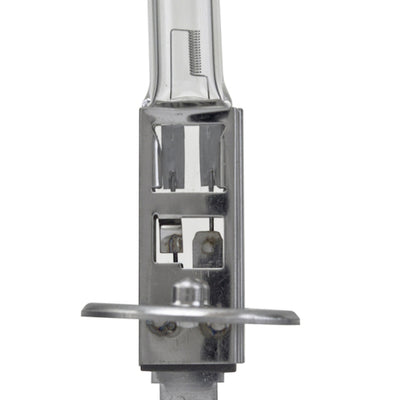 Hella Bulb H1 12V 55W P145S T25 (2)