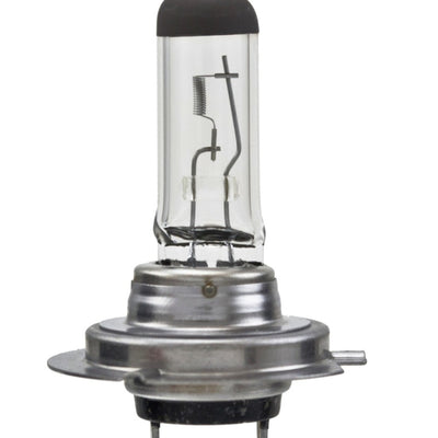 Hella Bulb H7 12V 55W PX26d T4.6 LONGLIFE