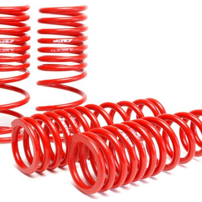 Skunk2 96-00 Honda Civic Lowering Springs (2.50in - 2.25in.) (Set of 4)