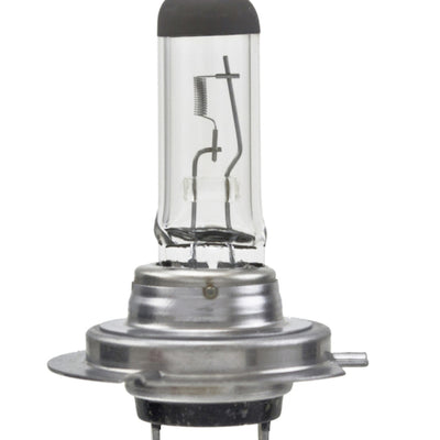 Hella Bulb H7 12V 55W Px26D T4625 Sb