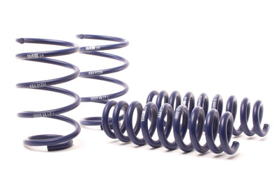 H&amp;R 13-15 BMW X1 sDrive28i E84 Sport Spring (2WD Only)