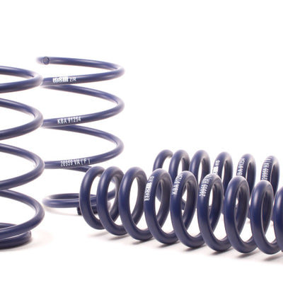H&R 13-15 BMW X1 sDrive28i E84 Sport Spring (2WD Only)