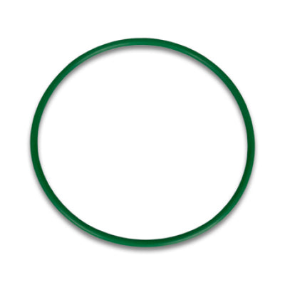 Vibrant Replacement O-Ring for 2.00in HD Weld Fittings