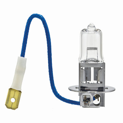 Hella Bulb H3 12V 55W Pk22S T325 (2)