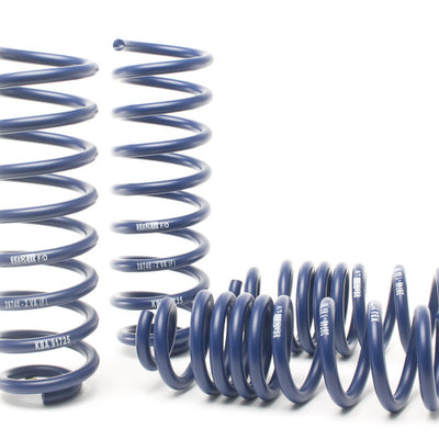 H&R 17-18 Mercedes-Benz E400 4MATIC Coupe/E400 Coupe C238 Sport Spring (Incl Agility Control) RW