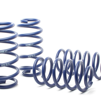 H&R 98-04 Audi A6 Quattro (AWD) 4B Race Spring