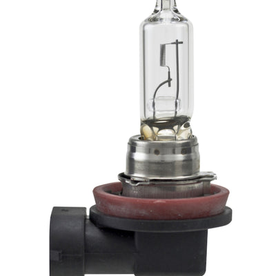 Hella Bulb H9 12V 65W Pgj195 T4 Sb