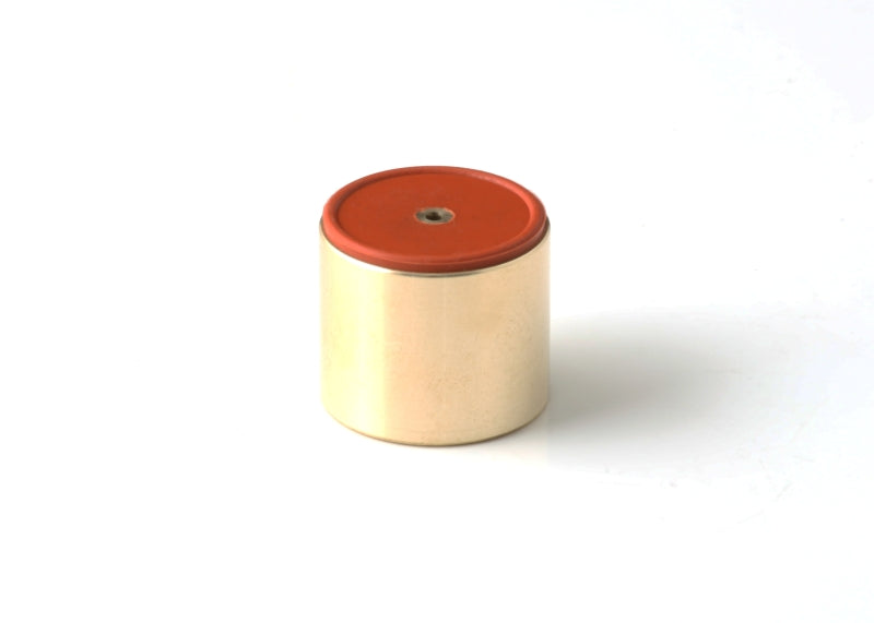 GFB Replacement DV+ Piston (Requires Piston Size in Order Notes)