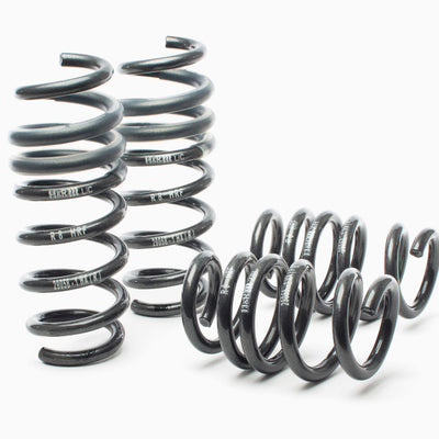 H&R 08-15 Audi R8/R8 Cabrio V8/V10 Sport Spring