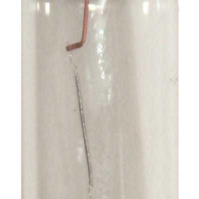 Hella Bulb 6461 12V 10W SV8.5-8